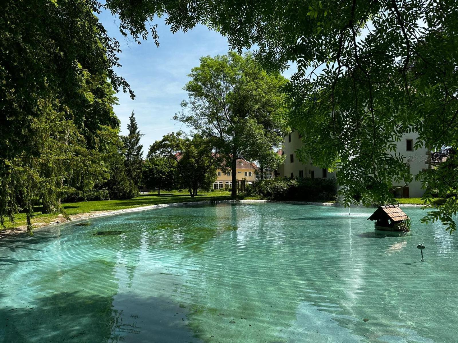Schloss Neckarbischofsheim Eksteriør bilde